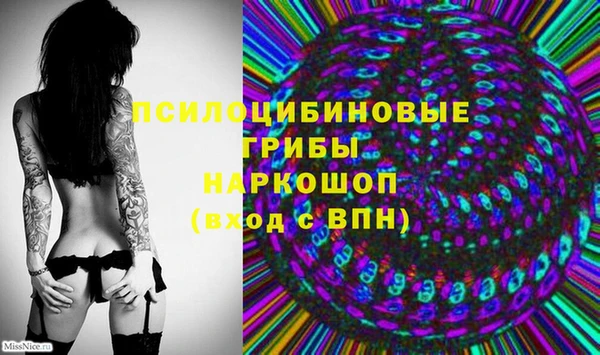 дмт Белоозёрский