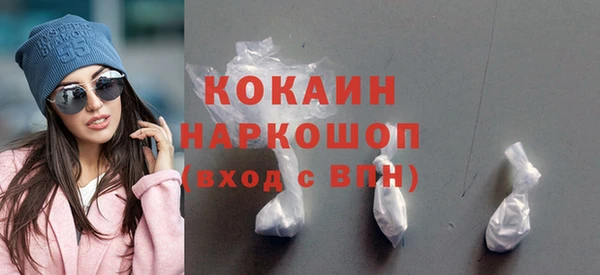 шишки Беломорск