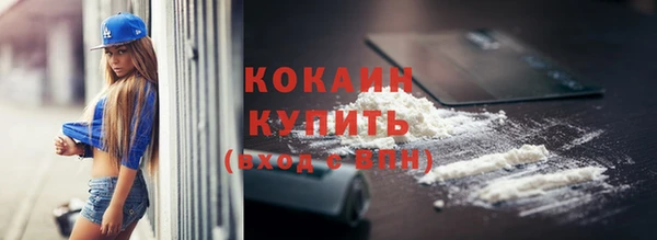 шишки Беломорск