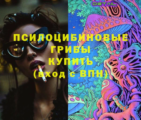 шишки Беломорск