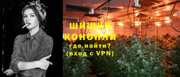 шишки Беломорск