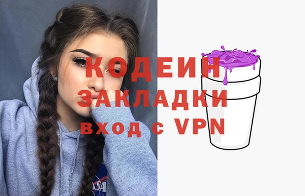 шишки Беломорск