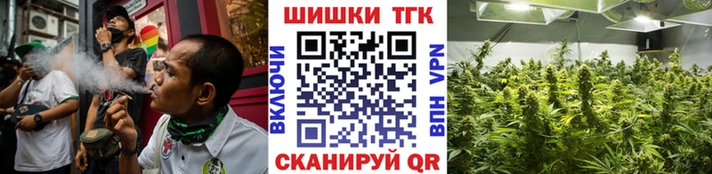 сколько стоит  KRAKEN ССЫЛКА  Бошки Шишки SATIVA & INDICA  Выборг 